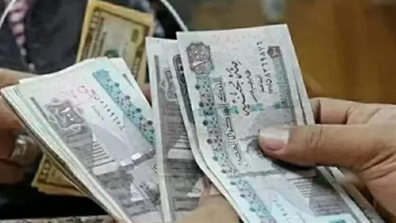 دعم تكافل وكرامة.. خطوات الحصول على المساعدة الاجتماعية في مصر